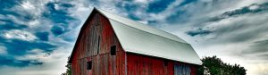 effective business writing means knowing which vs. that